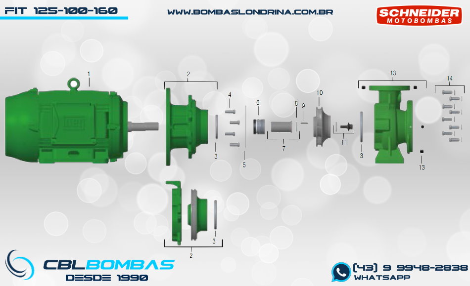 foto da peça mancal da bomba FIT 125-100-160 4POLOS
